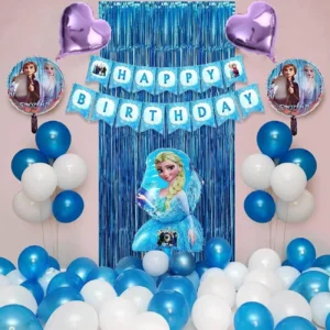 Simple Frozen Theme Decoration