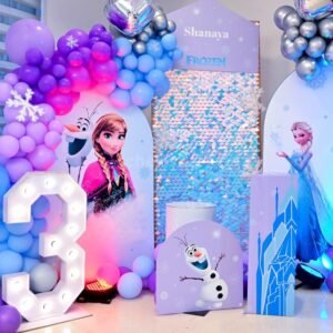 Elsas Magical Frozen Theme Kids Birthday Decoration
