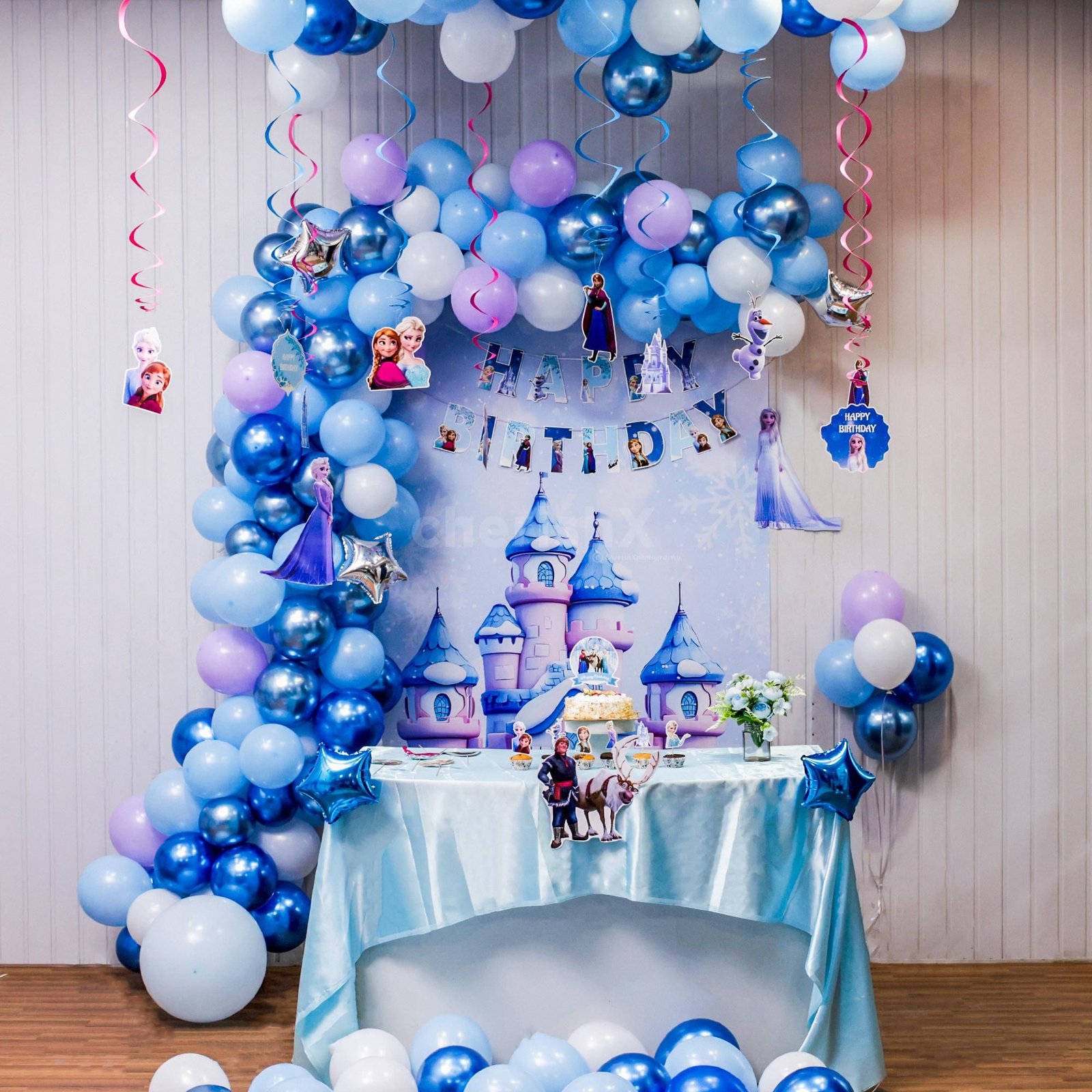 Castle On The Wall For Frozen Birthday Decor